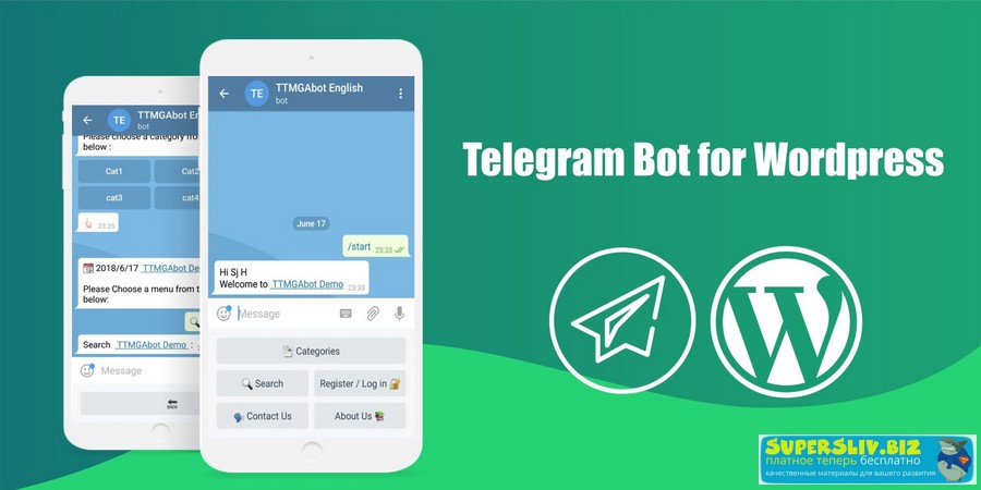 Telegram Bot плагин + русификация (WP)_0.jpg